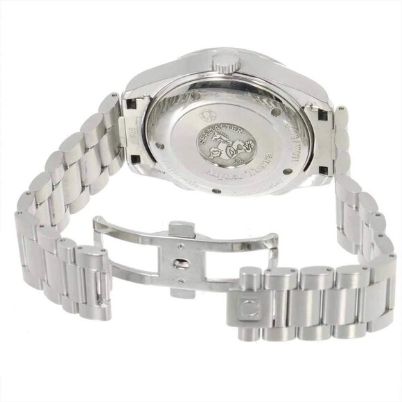 OMEGA Seamaster Aqua Terra NZL-32 2513 30 Automatic Mens Watch